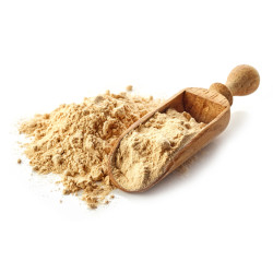 Panax ginseng en poudre